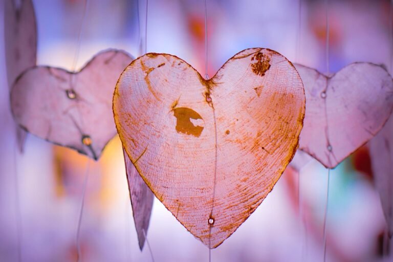 heart, love, romantic, romance, valentine, relation, relation, relation, relation, relation, relation