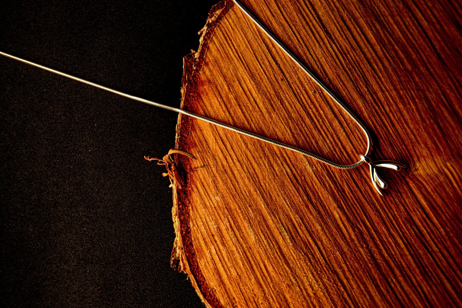 Close-up of a silver necklace with a wishbone pendant on a natural wooden surface, elegant and stylish.