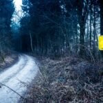A radiation warning sign by a forest pathway in a gloomy setting.